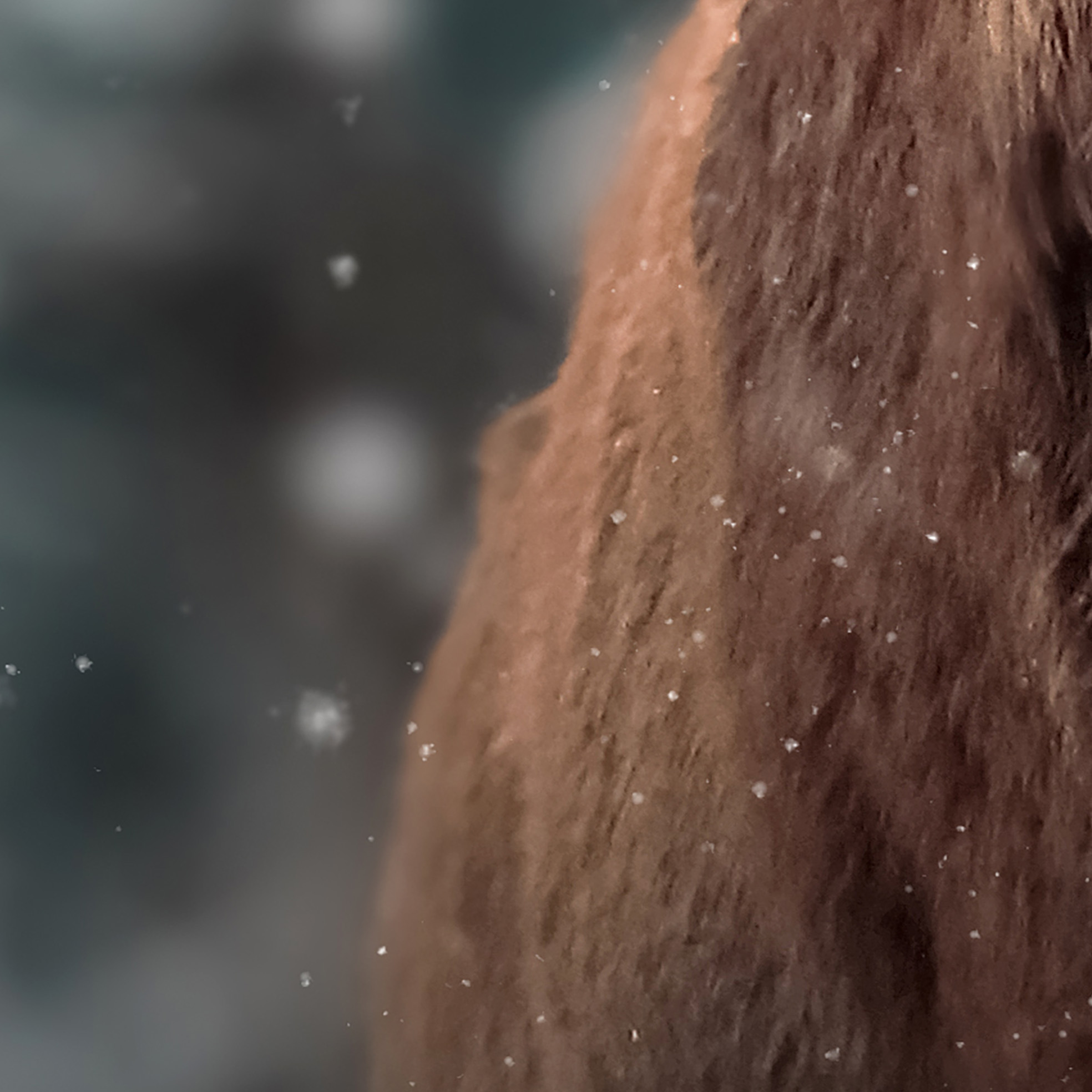 Tapeta Jelen v zimě