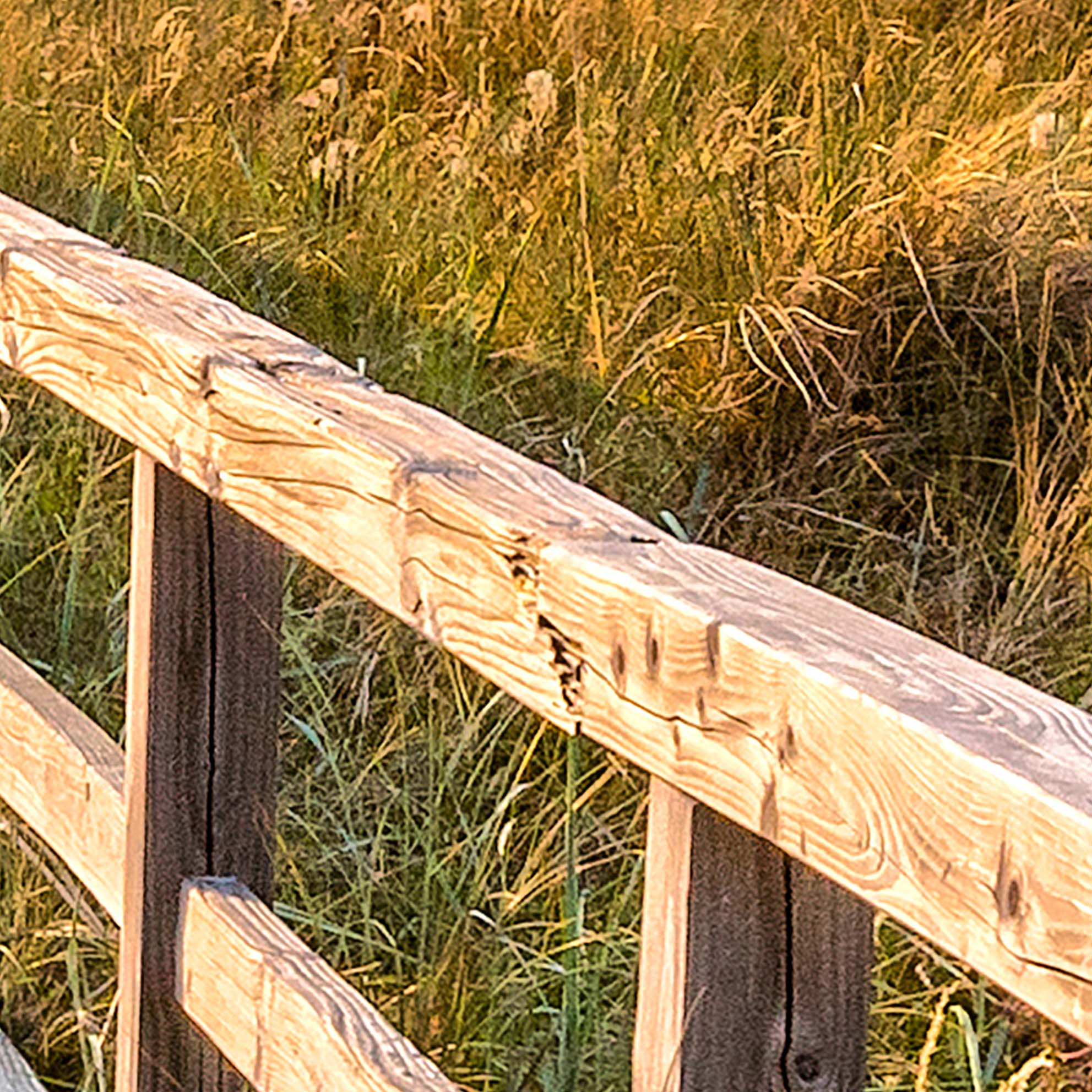 Tapeta Cesta k pláži