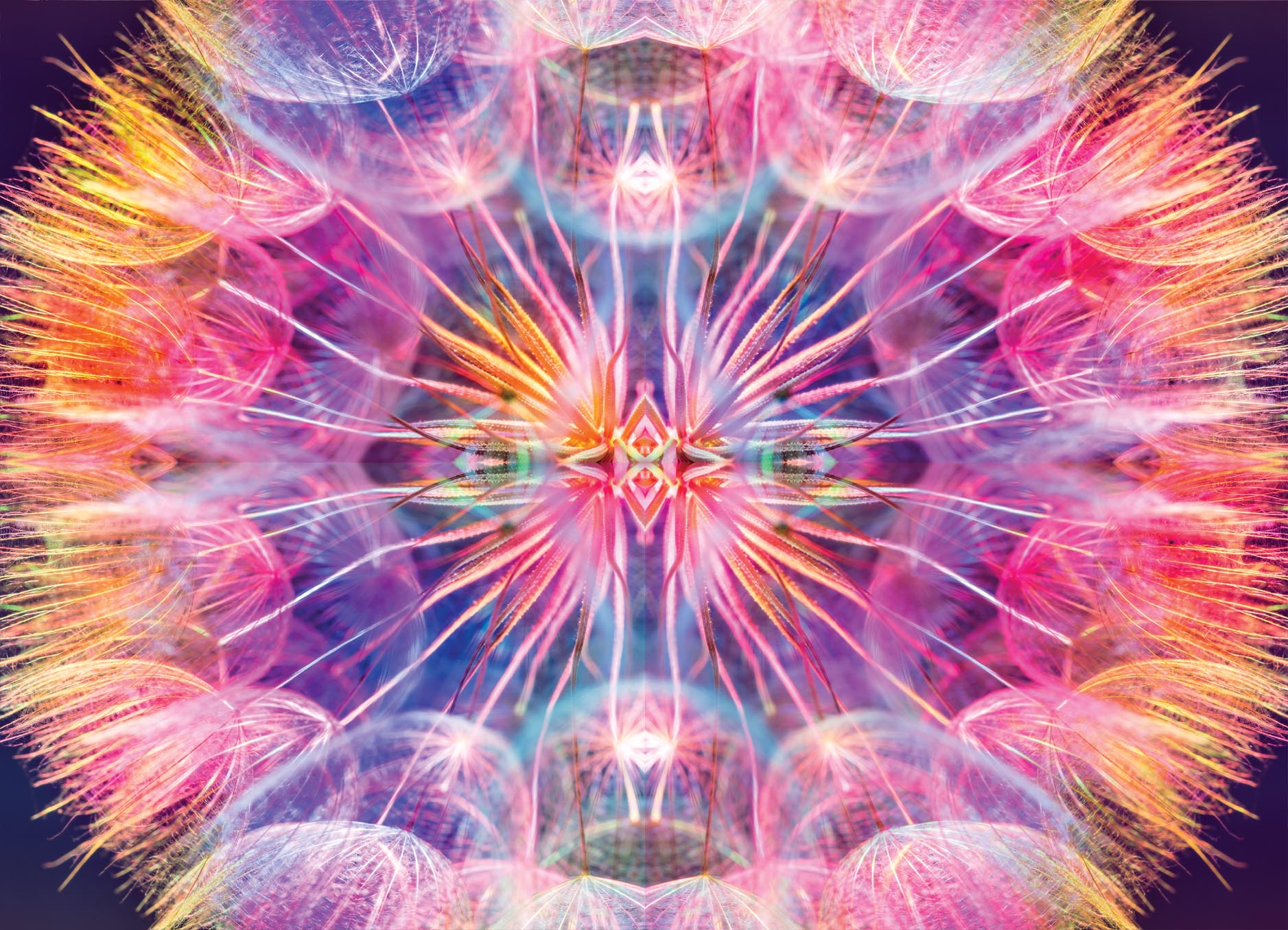 Tapeta abstrakt pampeliška