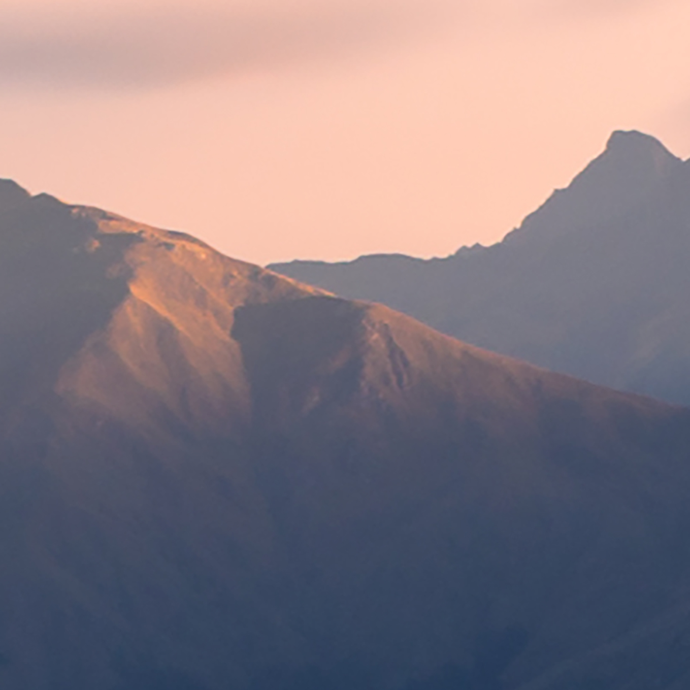 Tapeta Jezerní strom