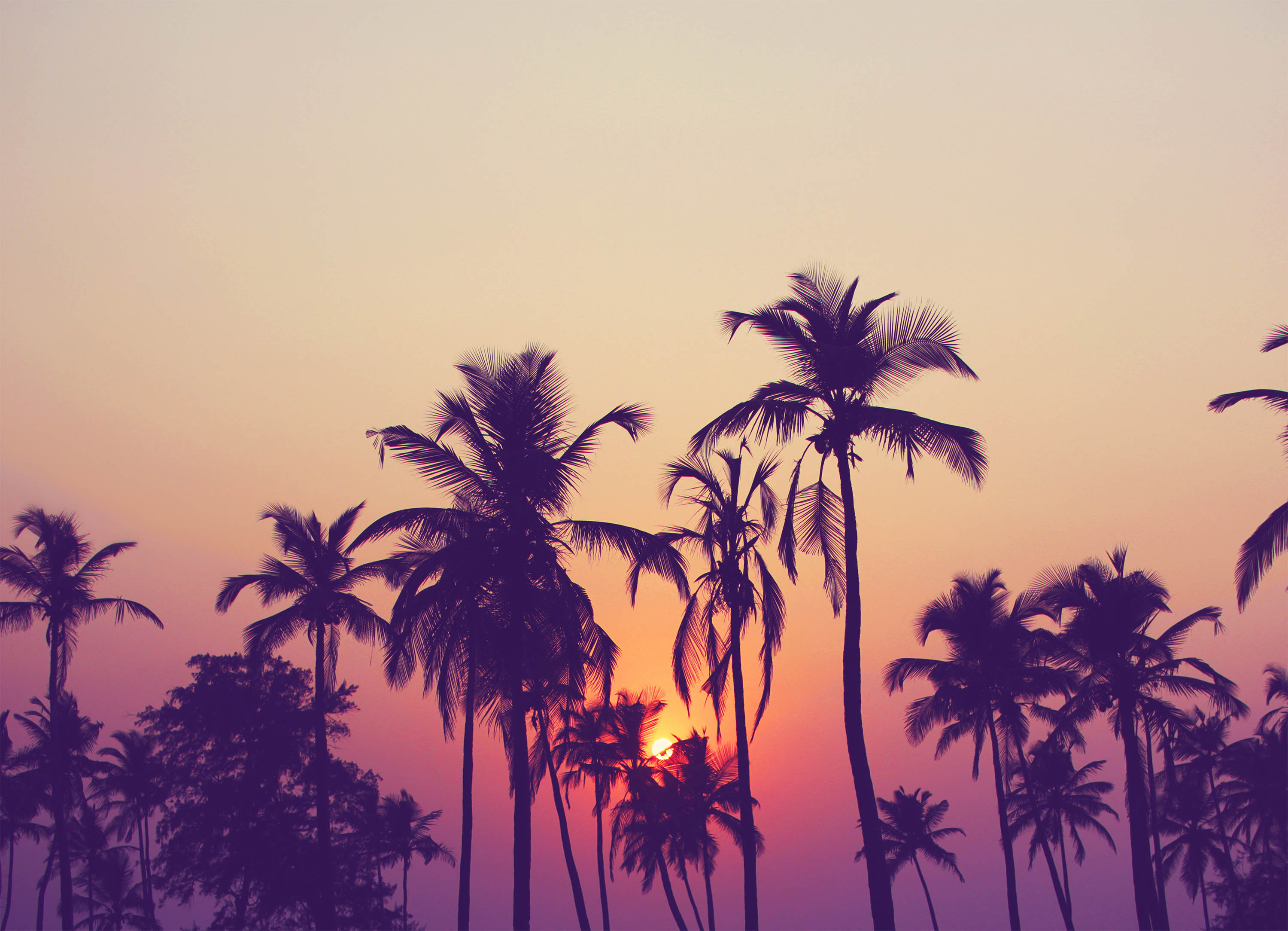 Tapeta plážová atmosféra