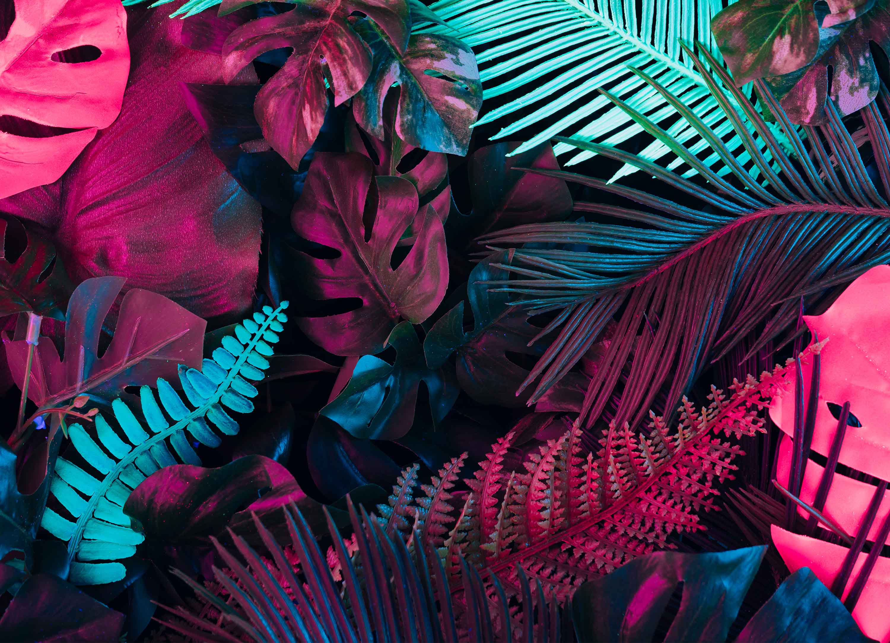 Tapeta Neonové listy