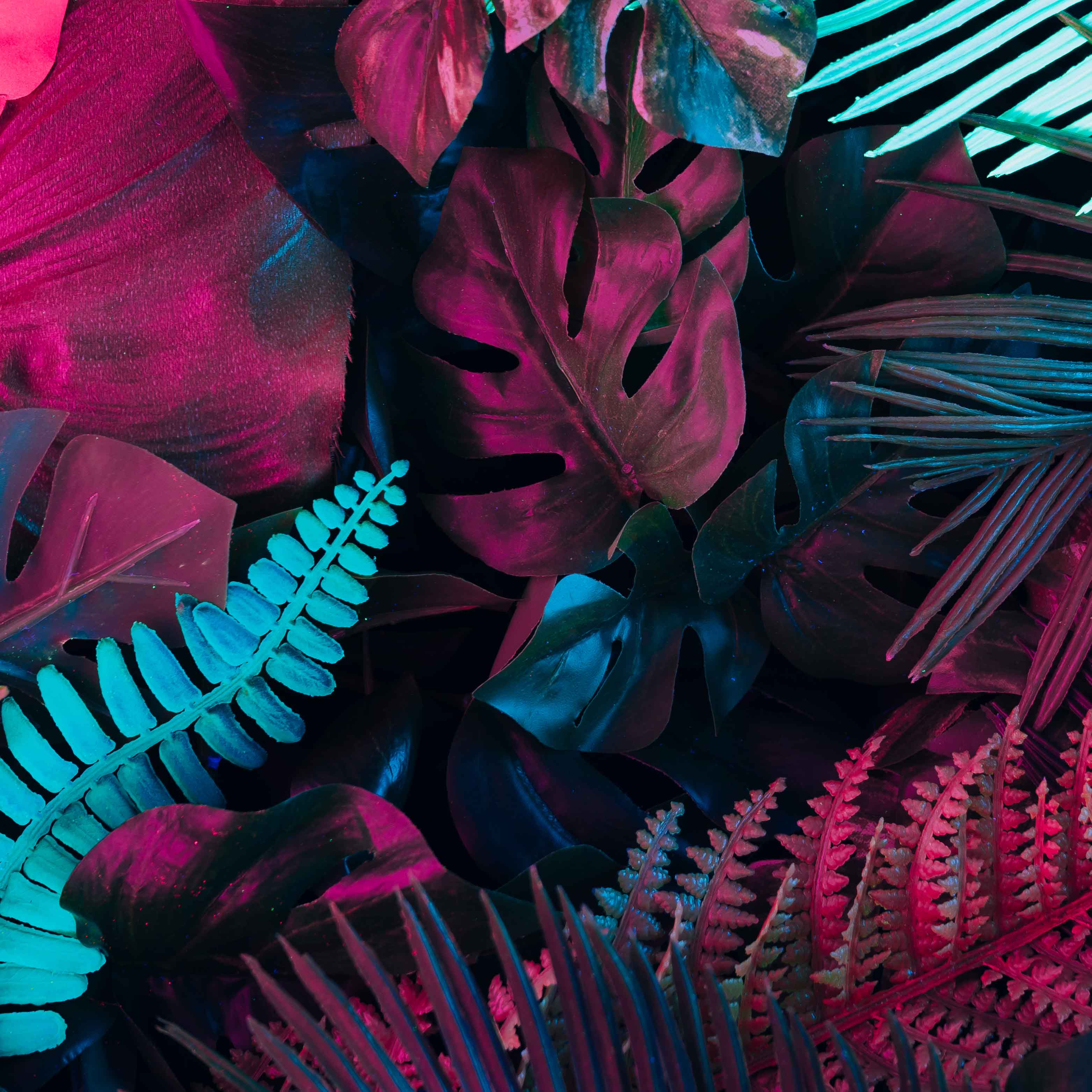 Tapeta Neonové listy