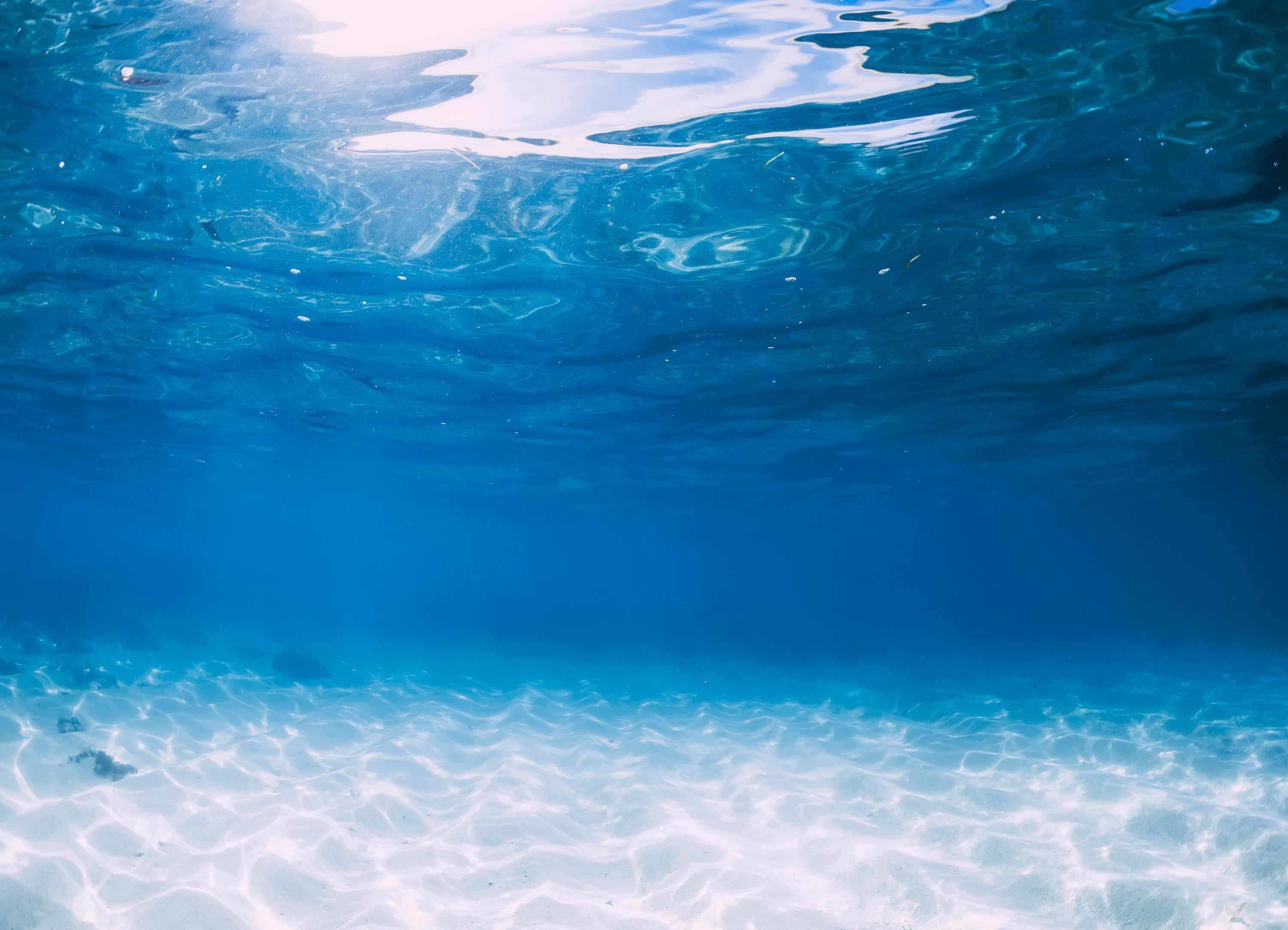 Tapeta v hlubinách moře