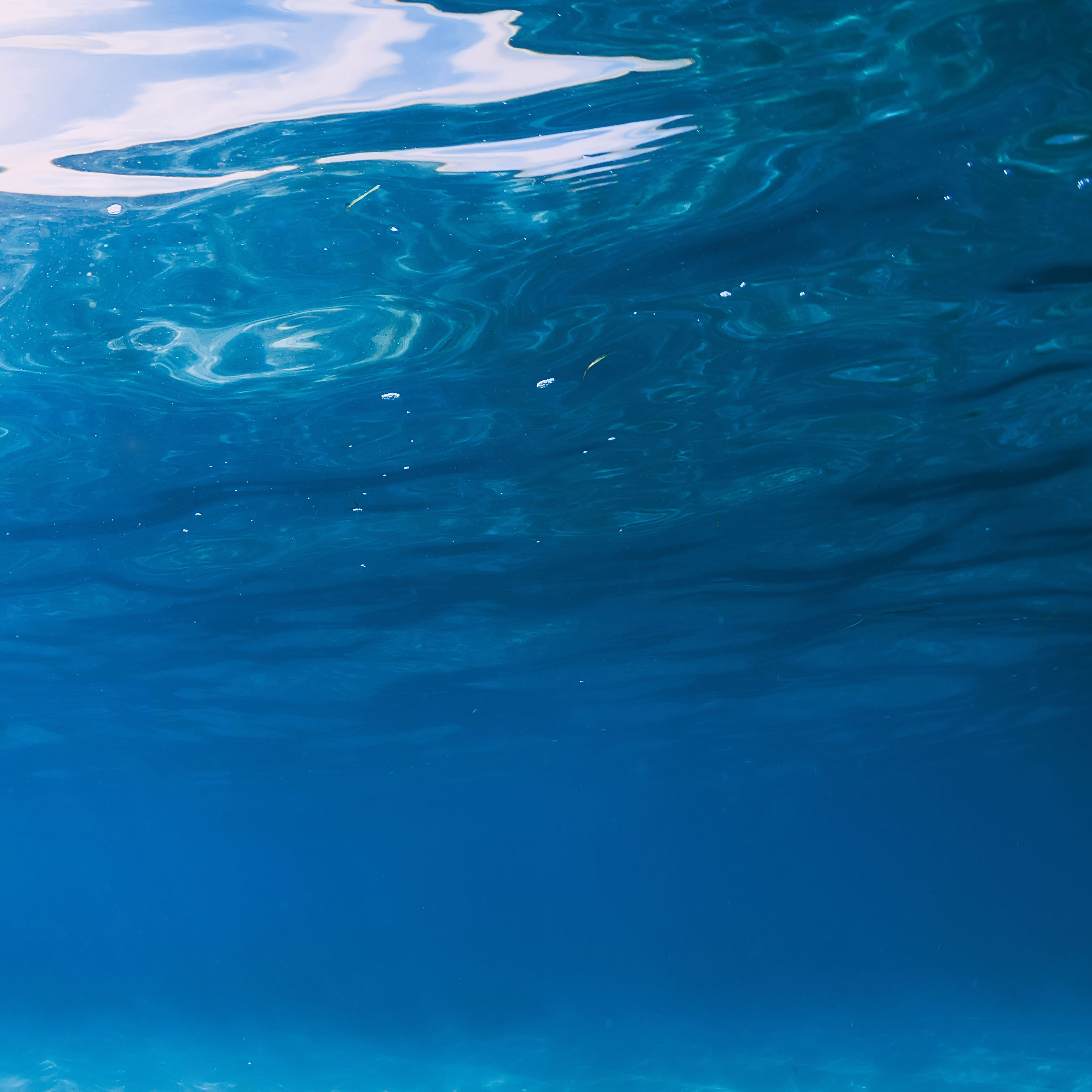 Tapeta v hlubinách moře