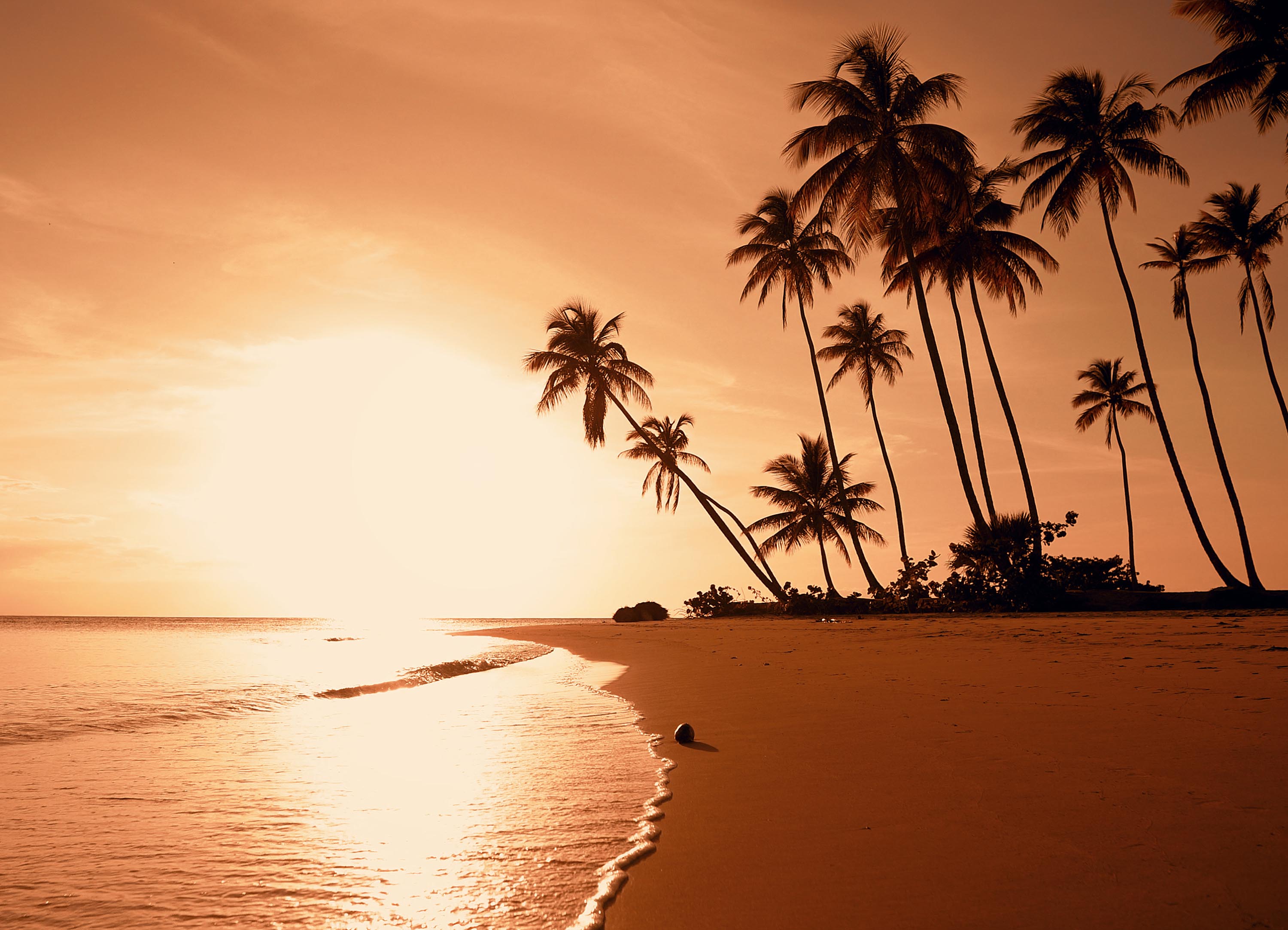 Tapeta Písčitá pláž