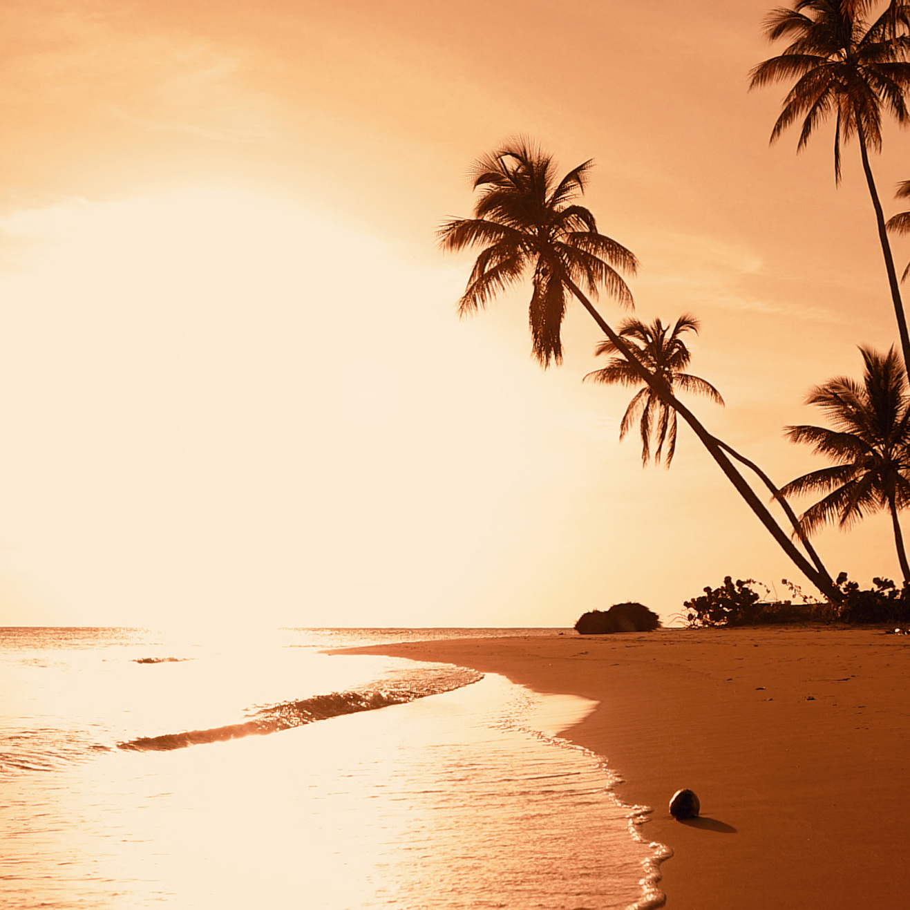 Tapeta Písčitá pláž