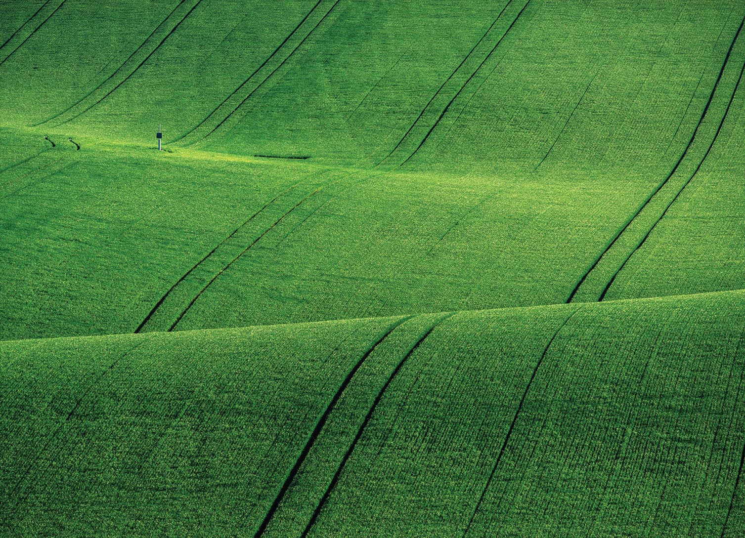 Tapeta Zvlněné pole
