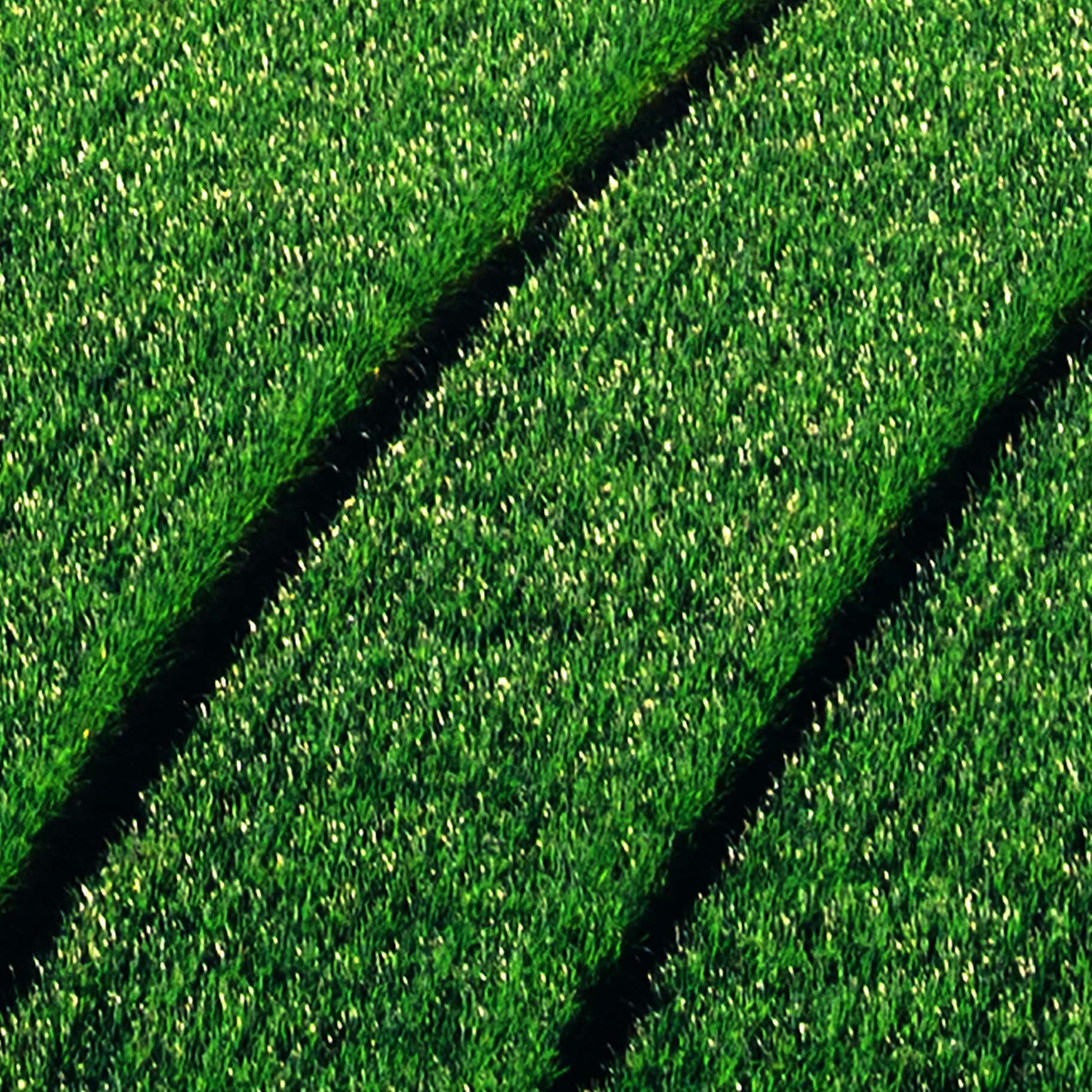 Tapeta Zvlněné pole