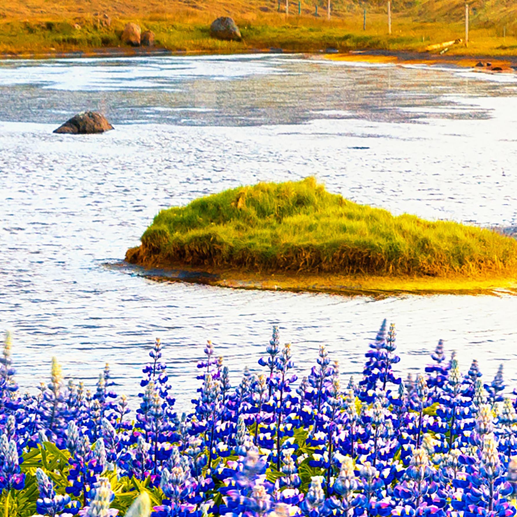 Tapeta Vysokohorské jezero