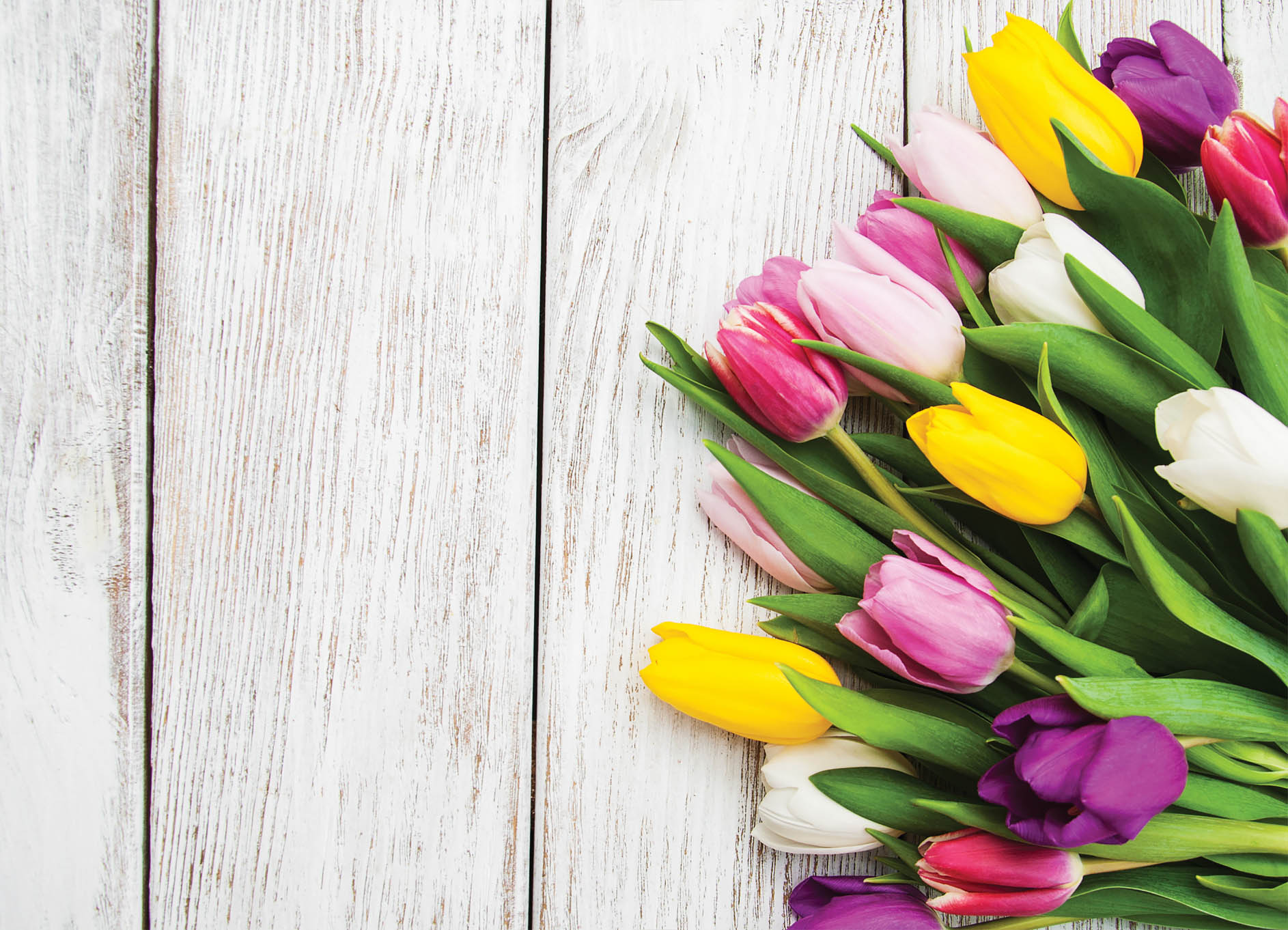 Tapeta Tulipány a dřevo