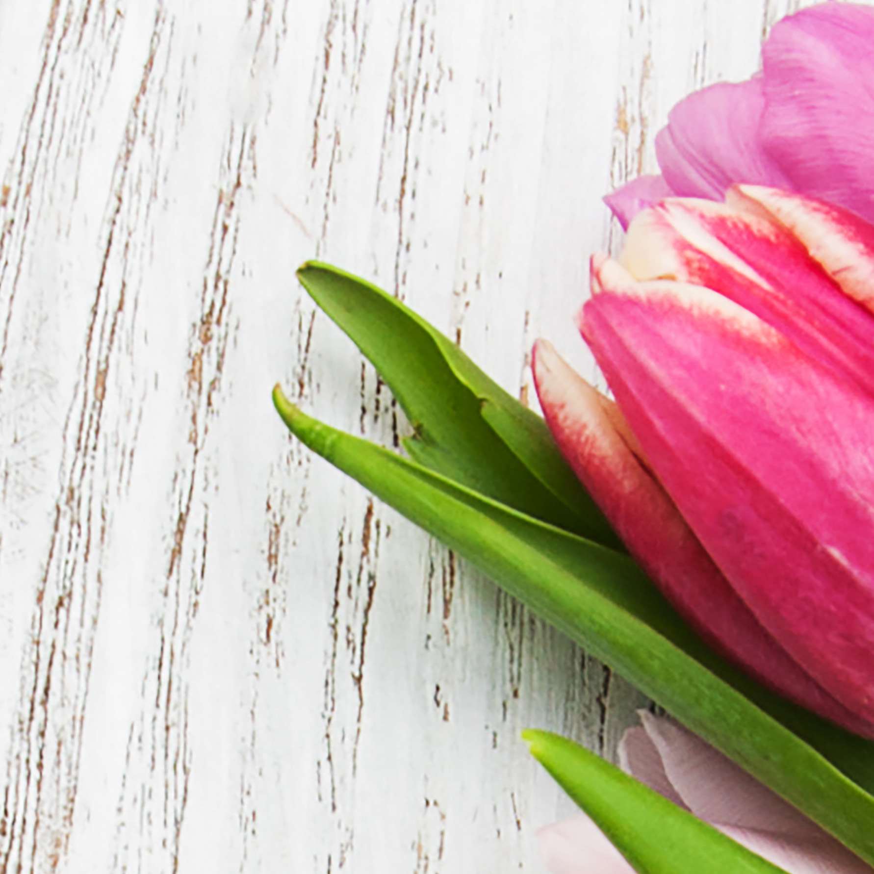 Tapeta Tulipány a dřevo