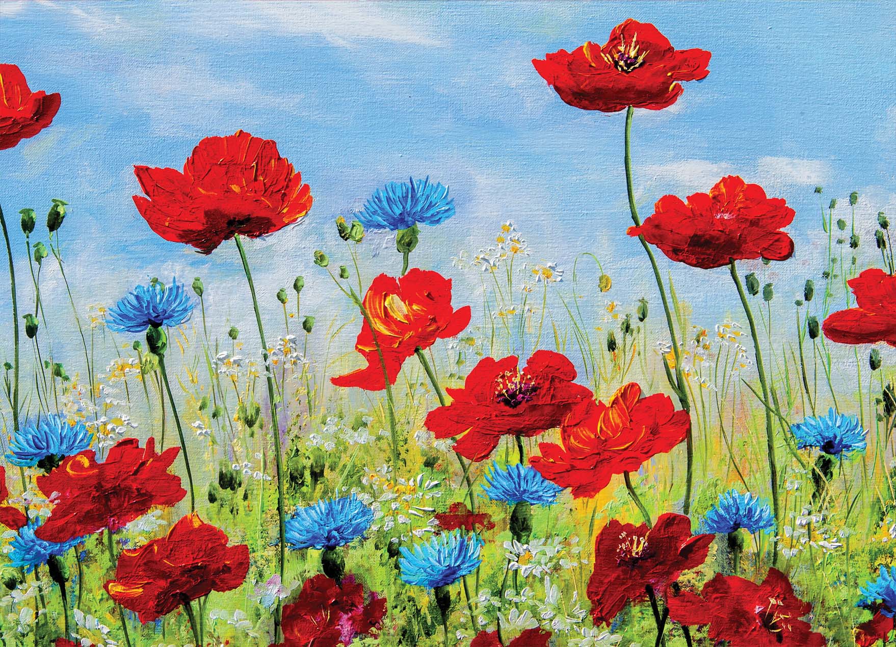 Tapeta Polní kvítí malba