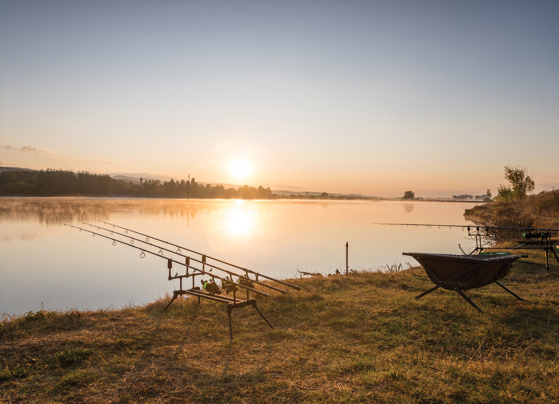 Tapeta Pruty na břehu