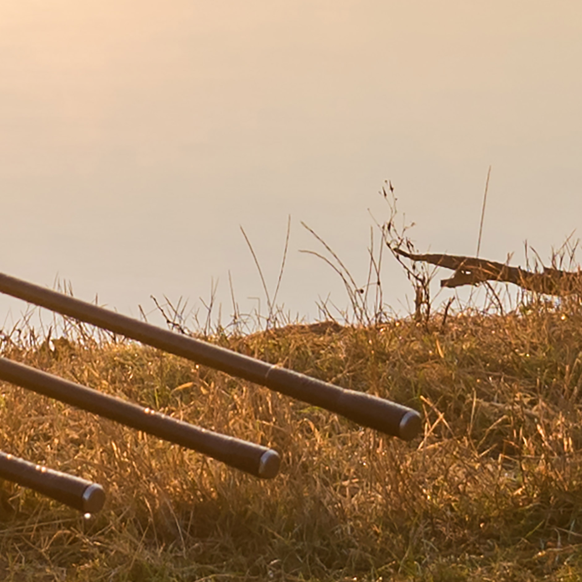 Tapeta Pruty na břehu