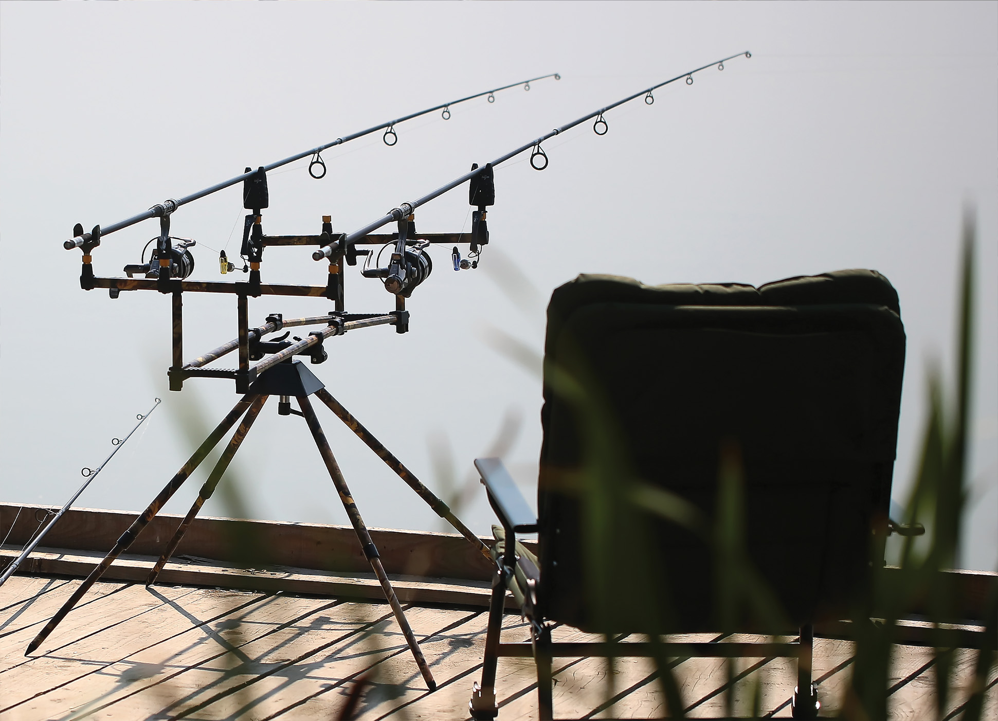 Tapeta Pruty na molu