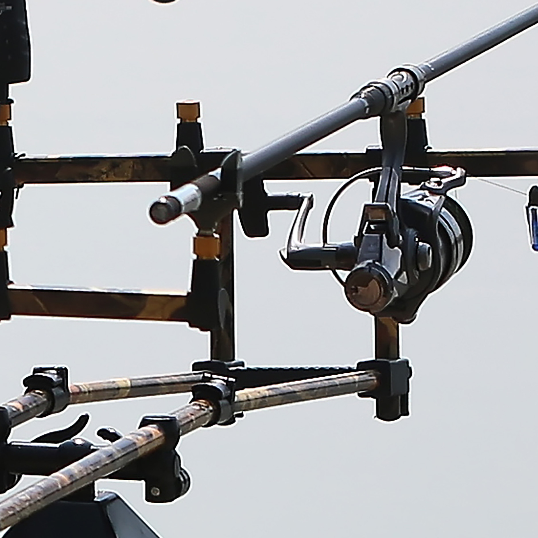 Tapeta Pruty na molu