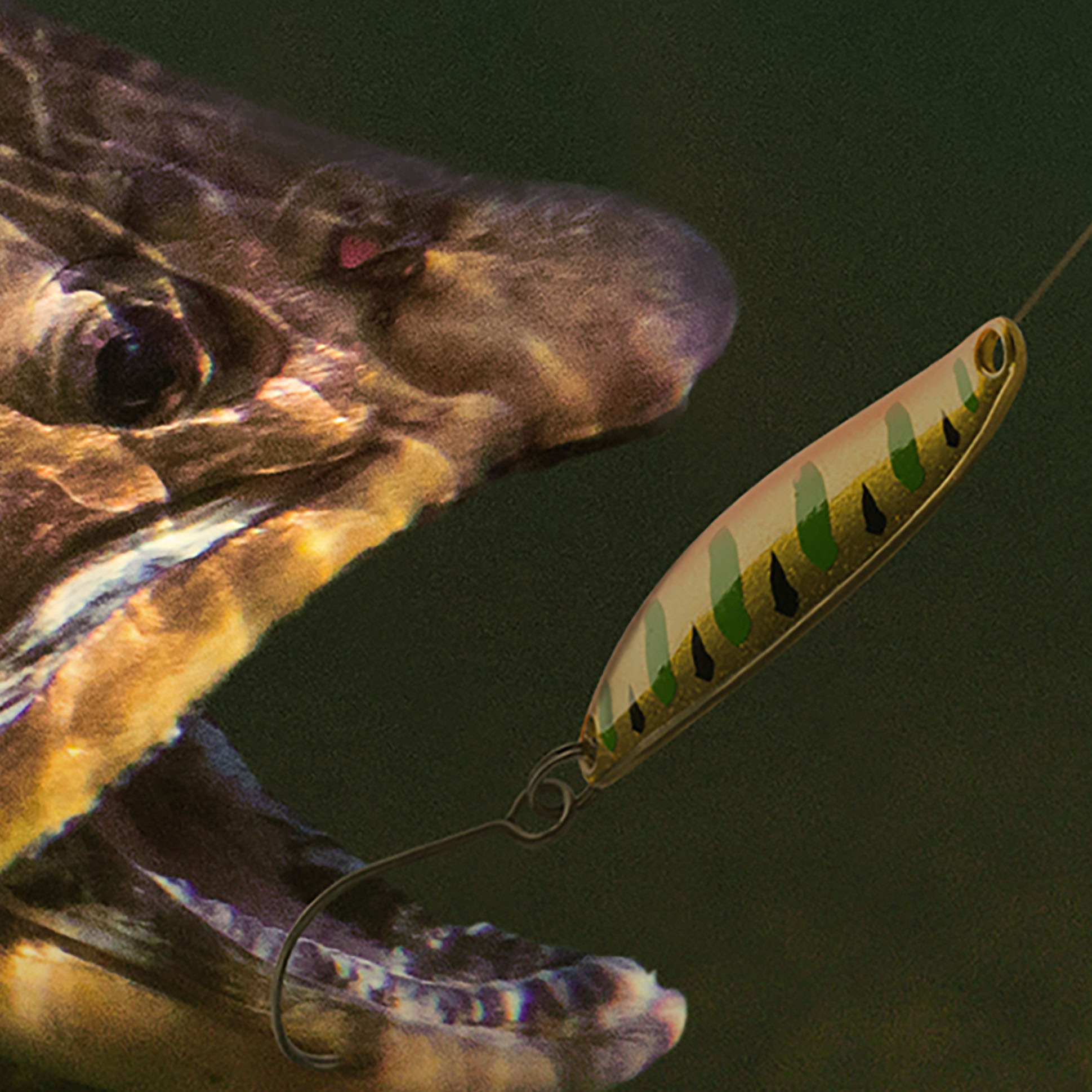 Tapeta Rybář a pstruh