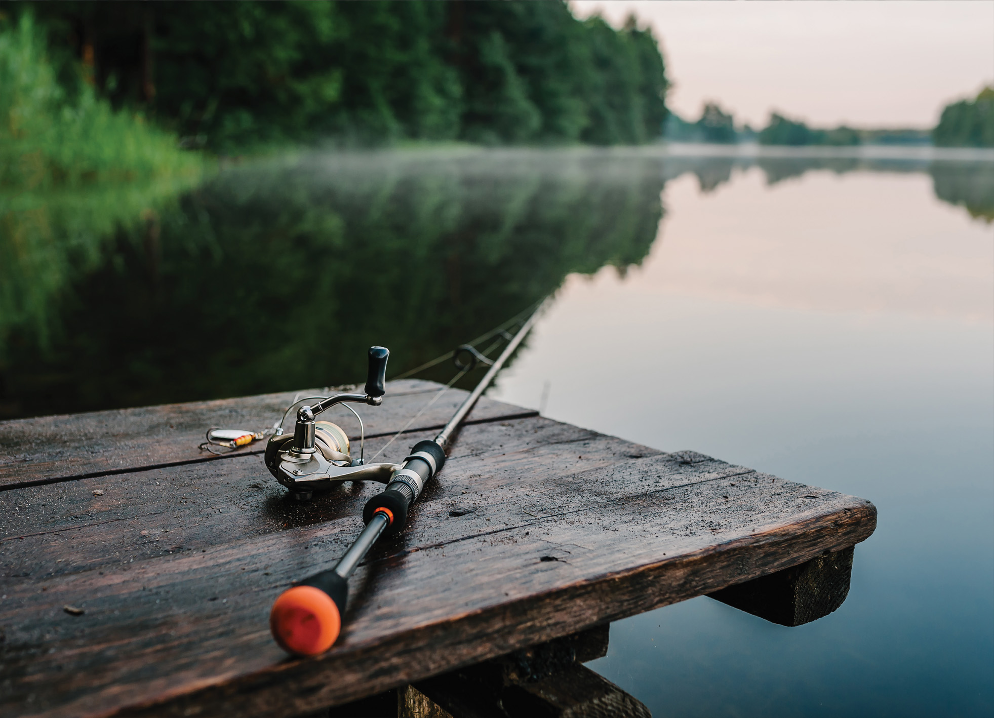 Tapeta Zátiší s prutem
