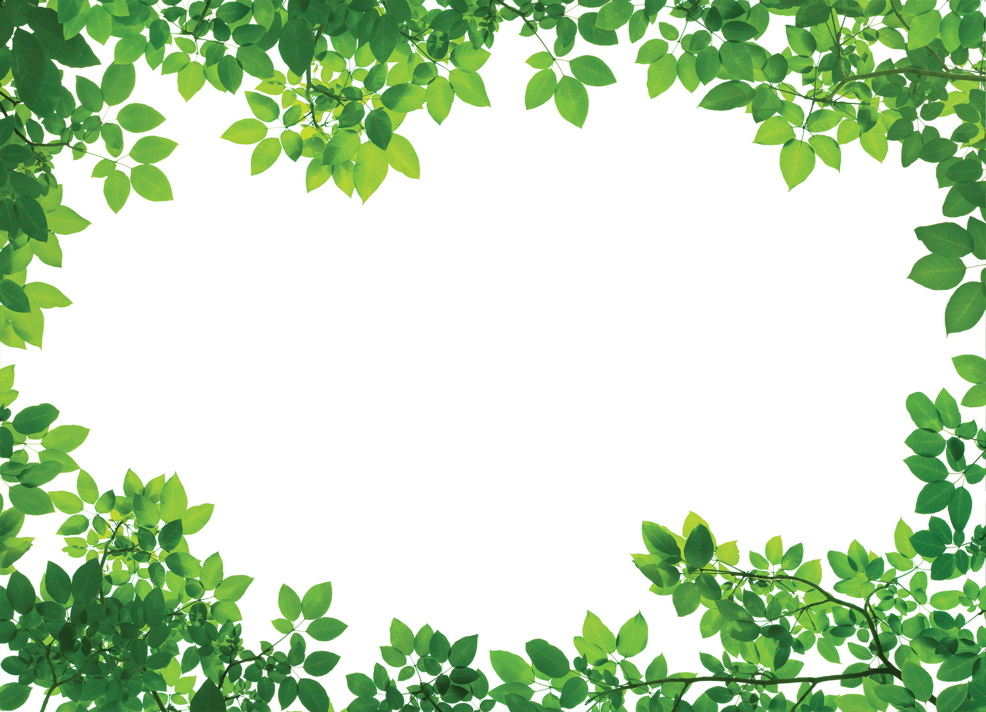 Tapeta Ovál z lístků