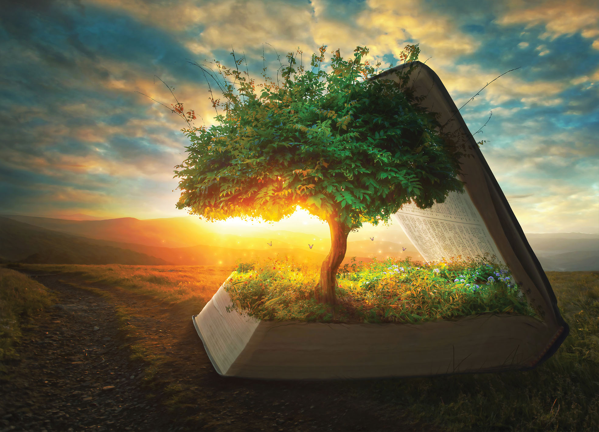 Tapeta Kniha života