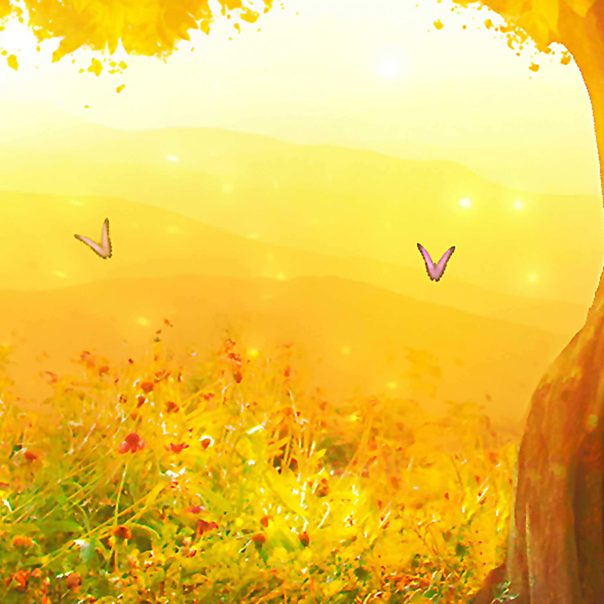 Tapeta Kniha života